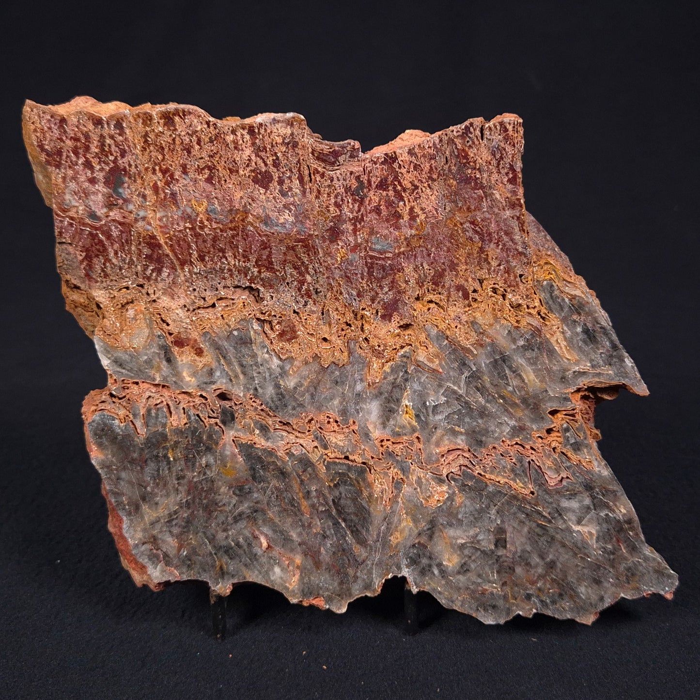 STROMATOLITE MICROBIAL MAT, Archean, Dresser Formation, Australia ZDF016