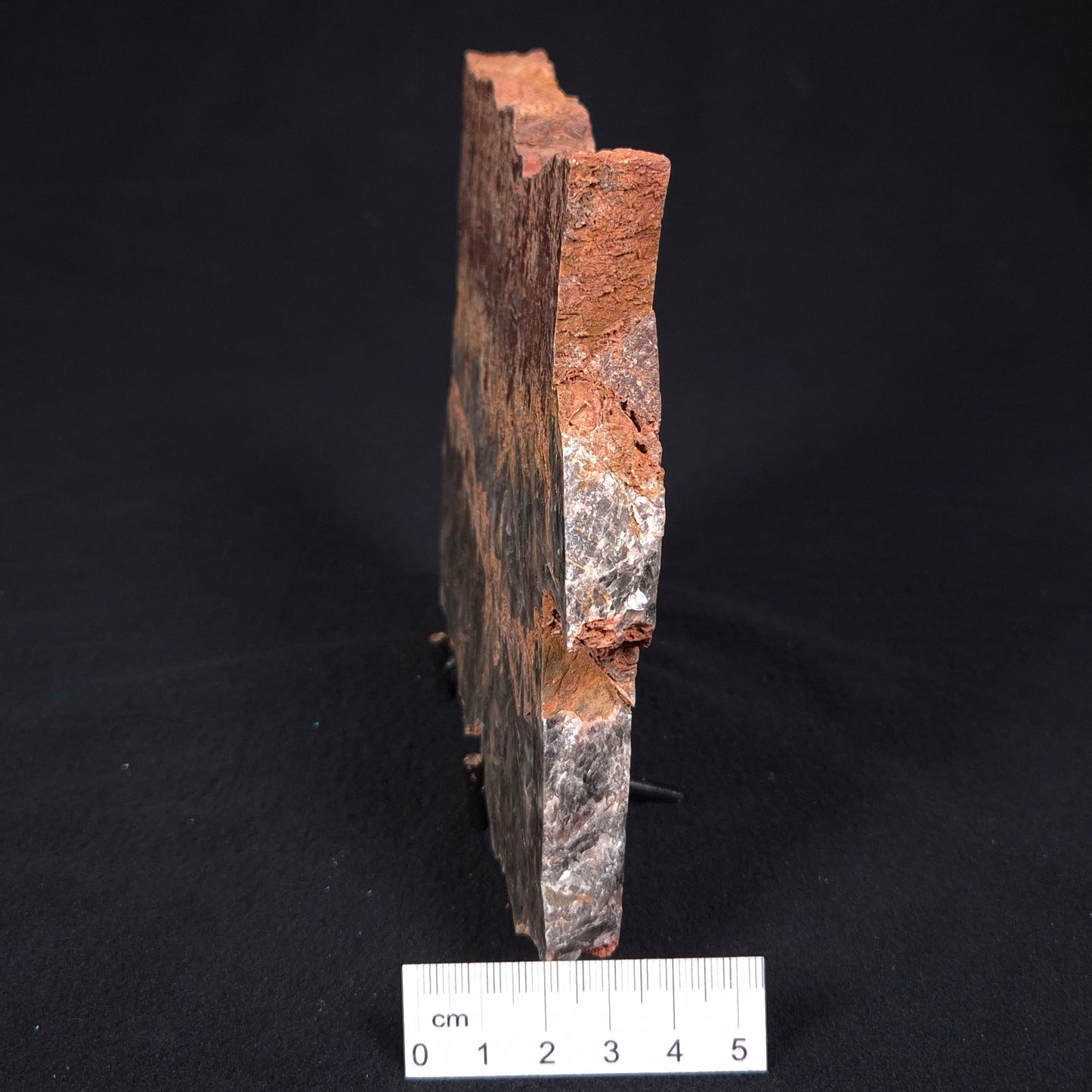 STROMATOLITE MICROBIAL MAT, Archean, Dresser Formation, Australia ZDF016