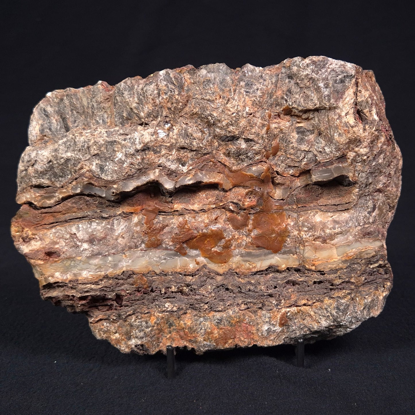 STROMATOLITE MICROBIAL MAT, Archean, Dresser Formation, Australia ZDF017