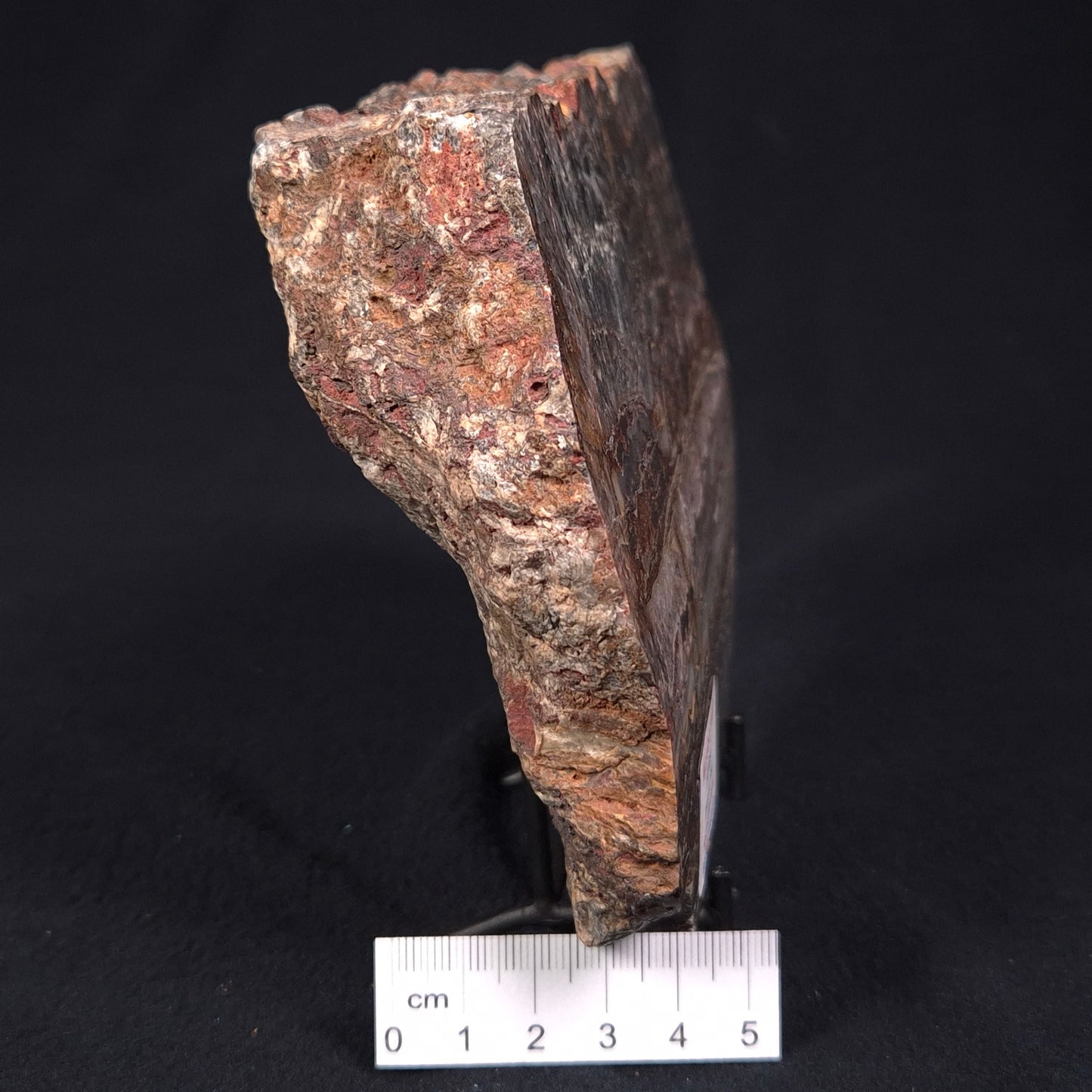 STROMATOLITE MICROBIAL MAT, Archean, Dresser Formation, Australia ZDF017