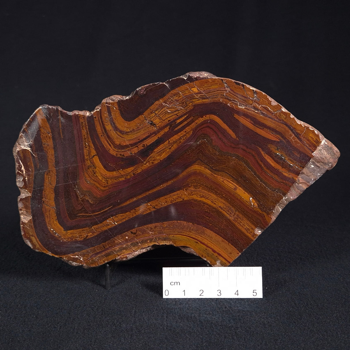 BANDED JASPER WITH HEMATITE, Australia YSC066