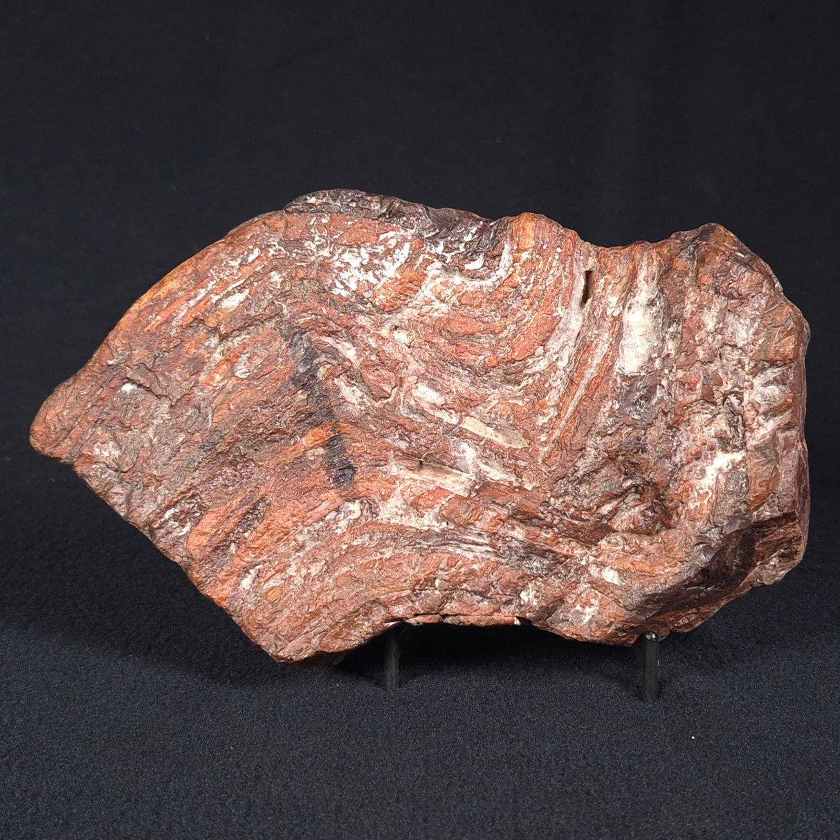 BANDED JASPER WITH HEMATITE, Australia YSC066