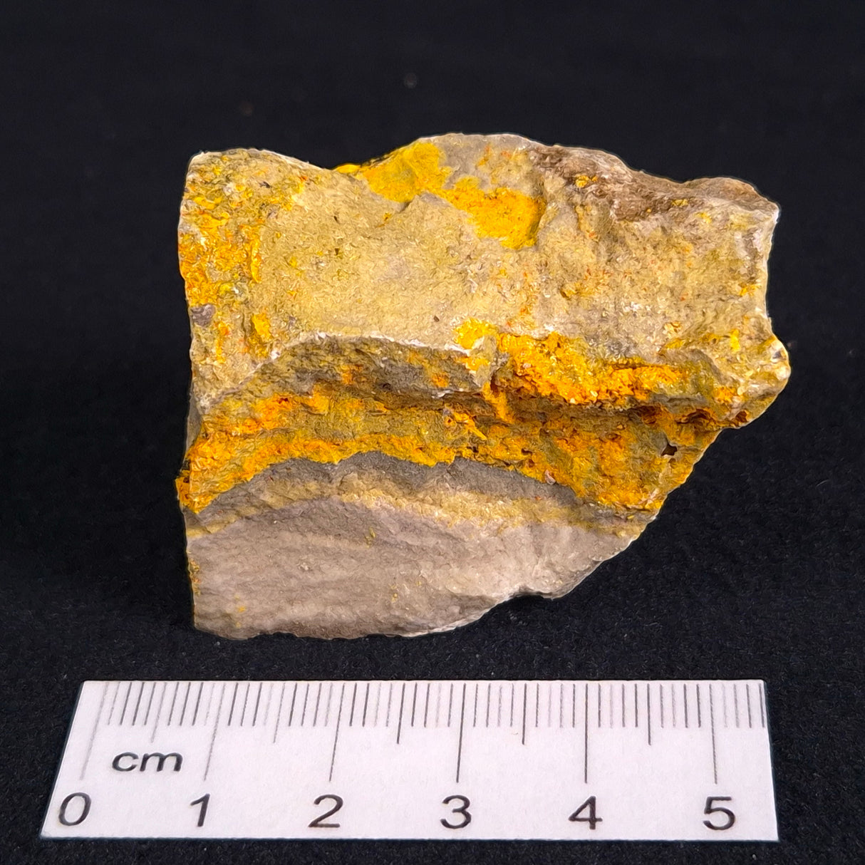 BUMBLEBEE JASPER, Indonesia XBJ001