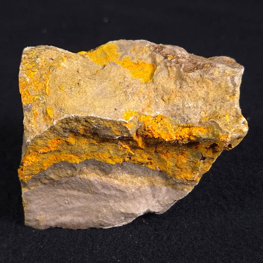 BUMBLEBEE JASPER, Indonesia XBJ001