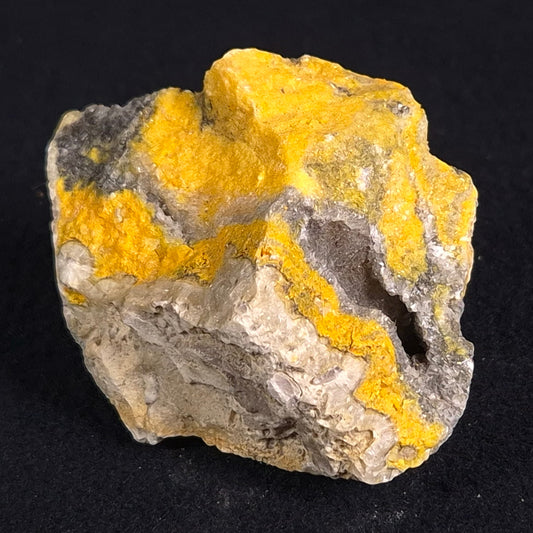 BUMBLEBEE JASPER, Indonesia XBJ002