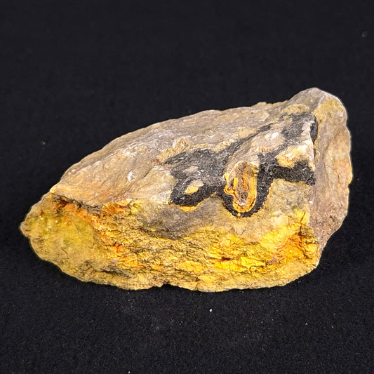 BUMBLEBEE JASPER, Indonesia XBJ004