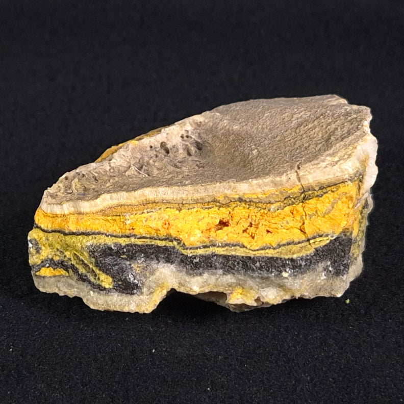 BUMBLEBEE JASPER, Indonesia XBJ005