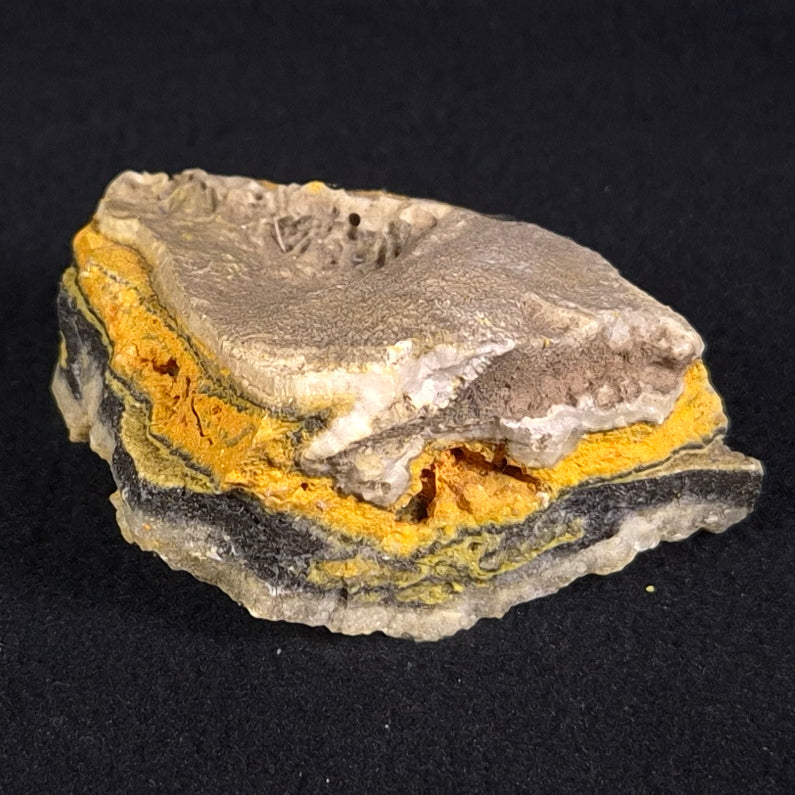 BUMBLEBEE JASPER, Indonesia XBJ005