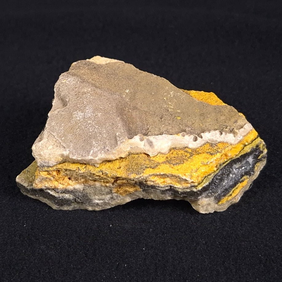 BUMBLEBEE JASPER, Indonesia XBJ005