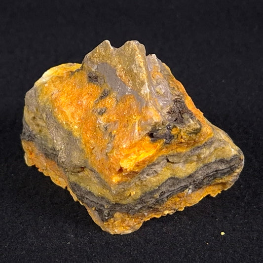 BUMBLEBEE JASPER, Indonesia XBJ006