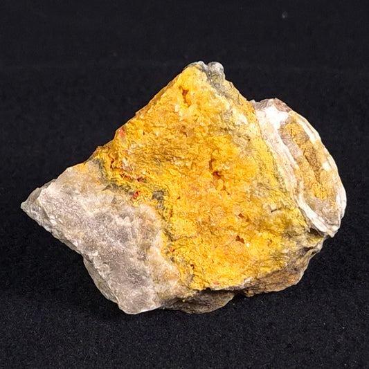 BUMBLEBEE JASPER, Indonesia XBJ007