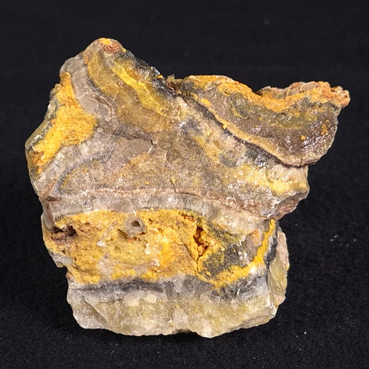 BUMBLEBEE JASPER, Indonesia XBJ008