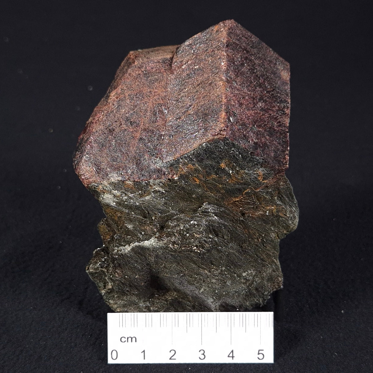 LARGE ALMANDINE GARNET ON CHLORITE SCHIST, Australia XGC004