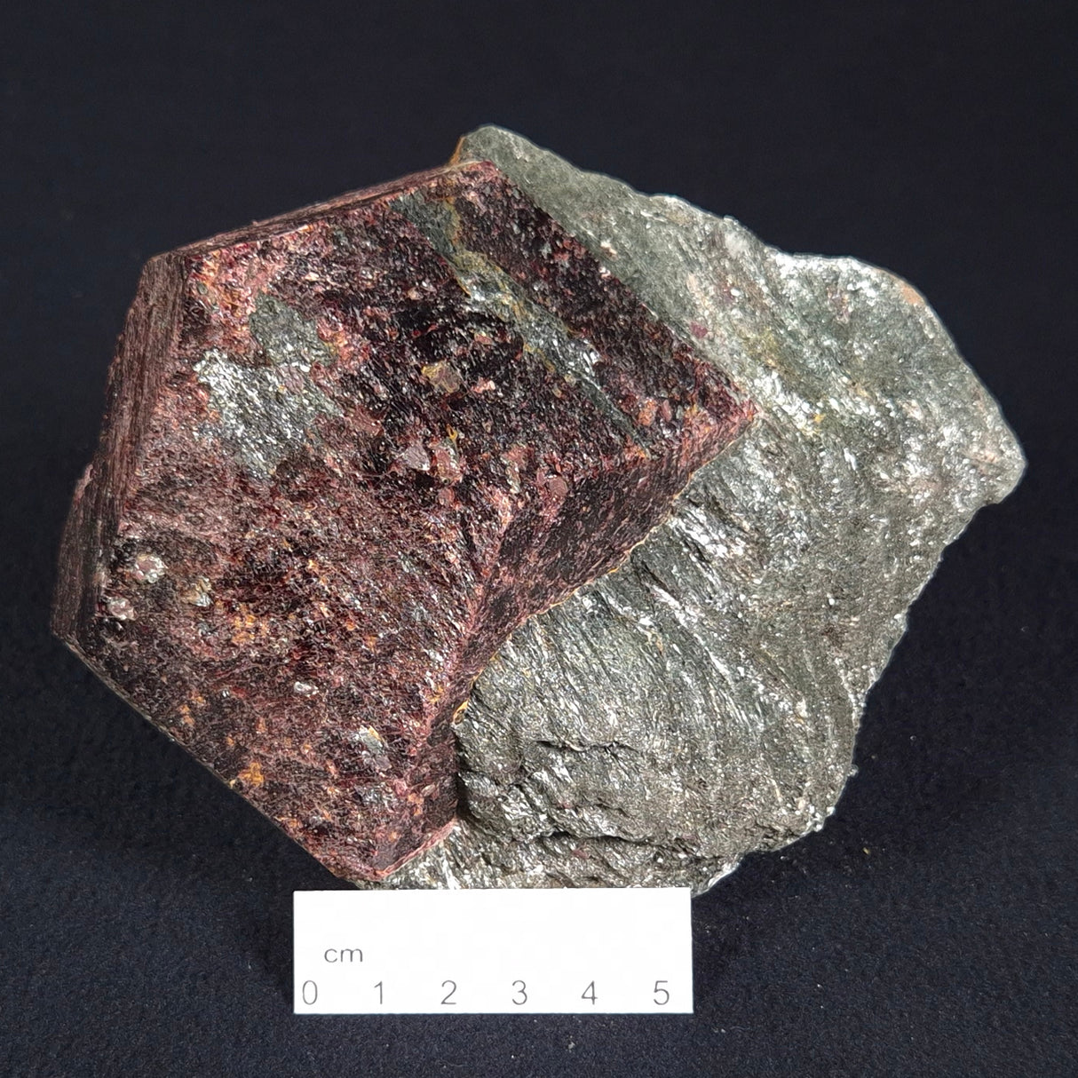 LARGE ALMANDINE GARNET ON CHLORITE SCHIST, Australia XGC006