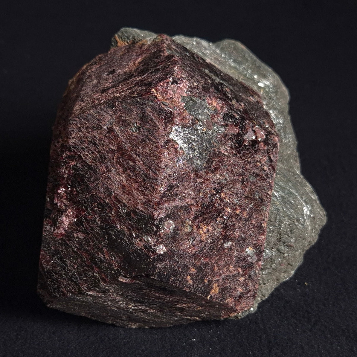 LARGE ALMANDINE GARNET ON CHLORITE SCHIST, Australia XGC006