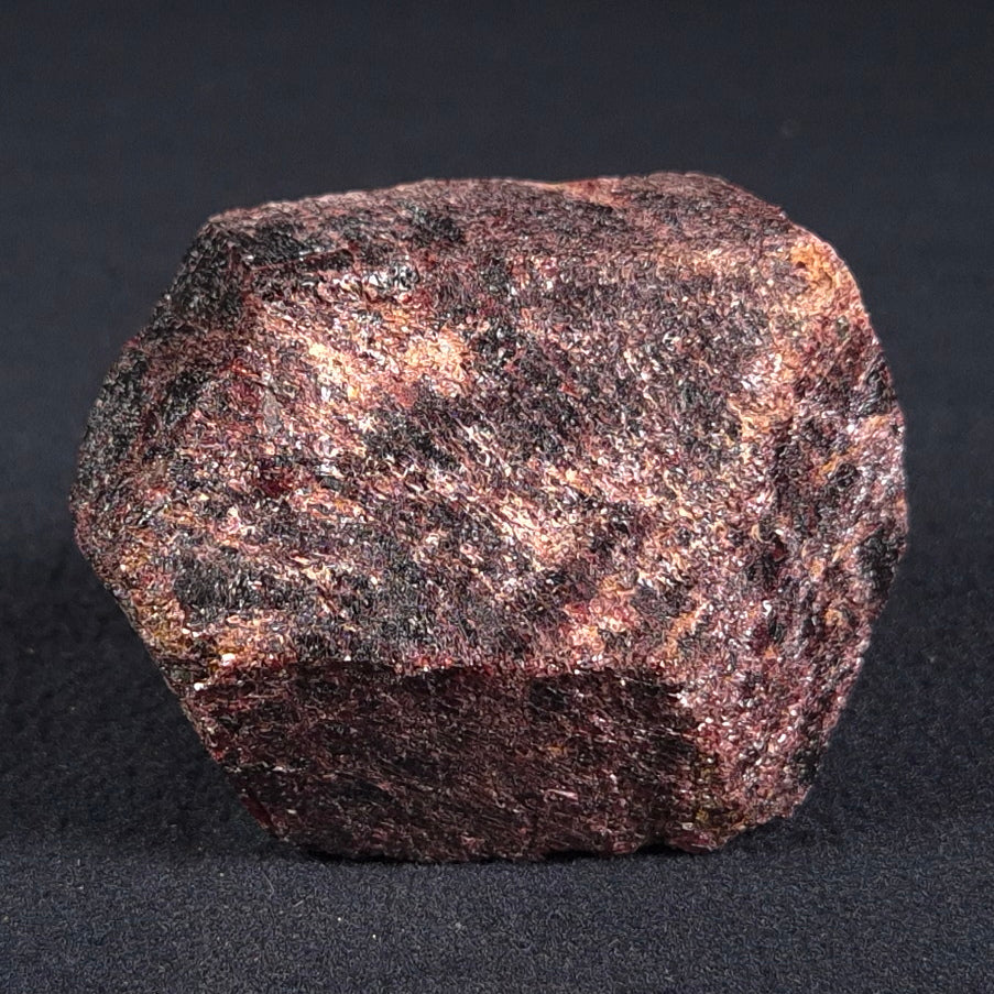 LARGE ALMANDINE GARNET ON CHLORITE SCHIST, Australia XGC009