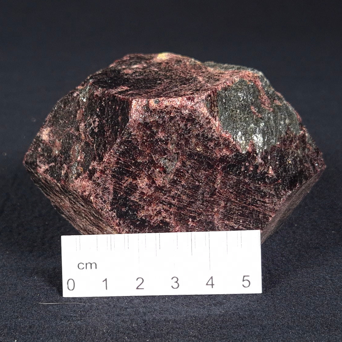 LARGE ALMANDINE GARNET ON CHLORITE SCHIST, Australia XGC010
