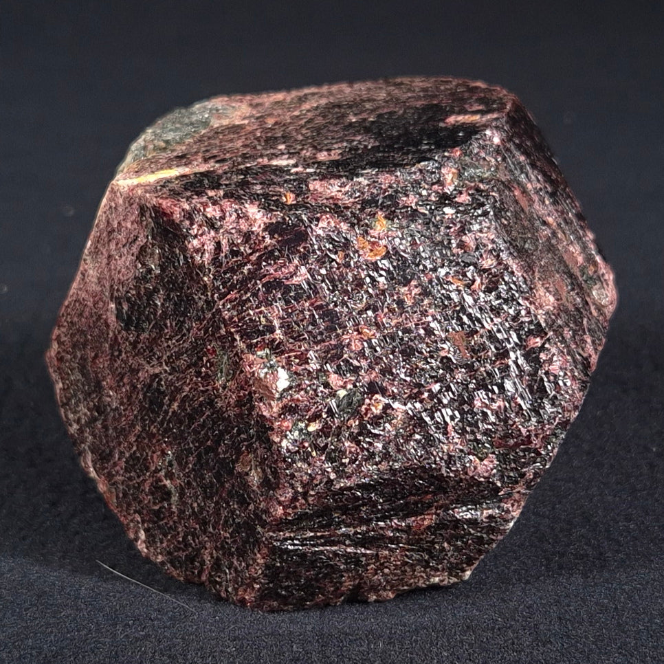 LARGE ALMANDINE GARNET ON CHLORITE SCHIST, Australia XGC010