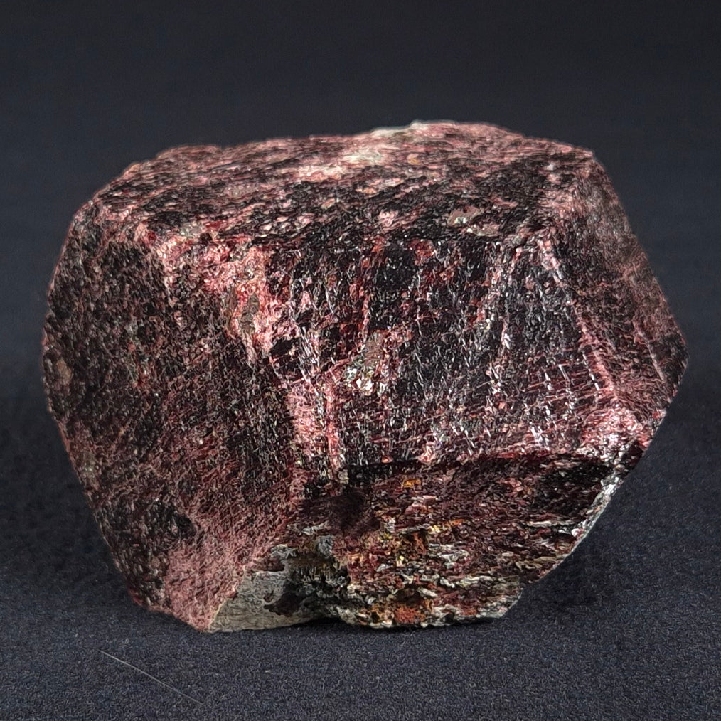 LARGE ALMANDINE GARNET ON CHLORITE SCHIST, Australia XGC010