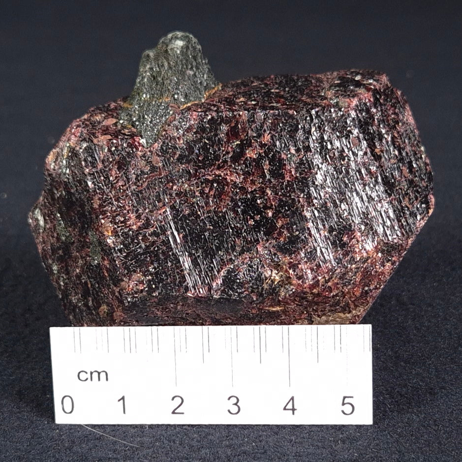 LARGE ALMANDINE GARNET ON CHLORITE SCHIST, Australia XGC012
