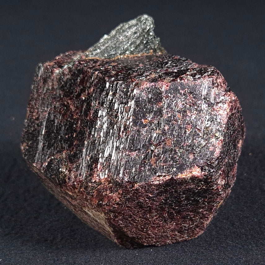LARGE ALMANDINE GARNET ON CHLORITE SCHIST, Australia XGC012