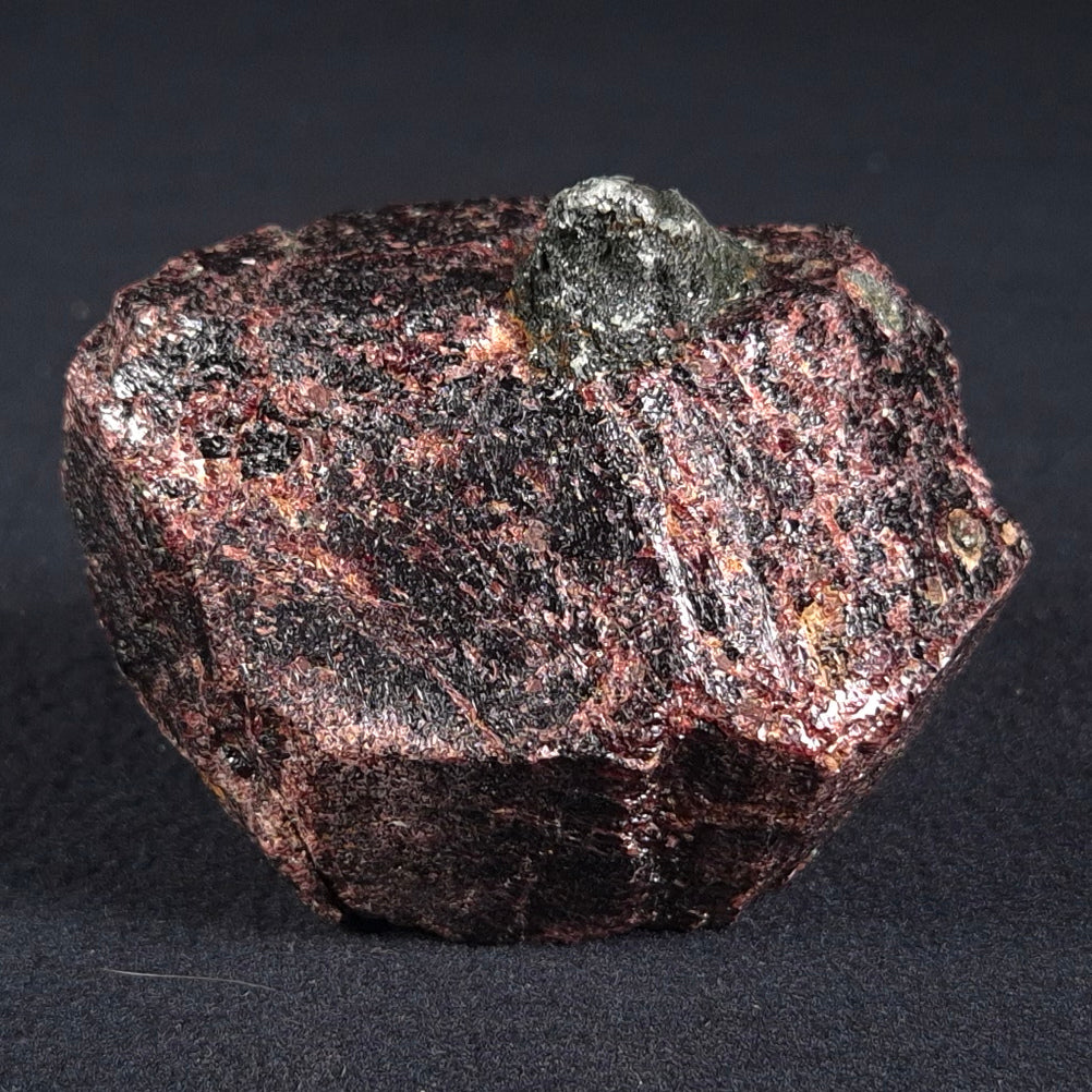 LARGE ALMANDINE GARNET ON CHLORITE SCHIST, Australia XGC012