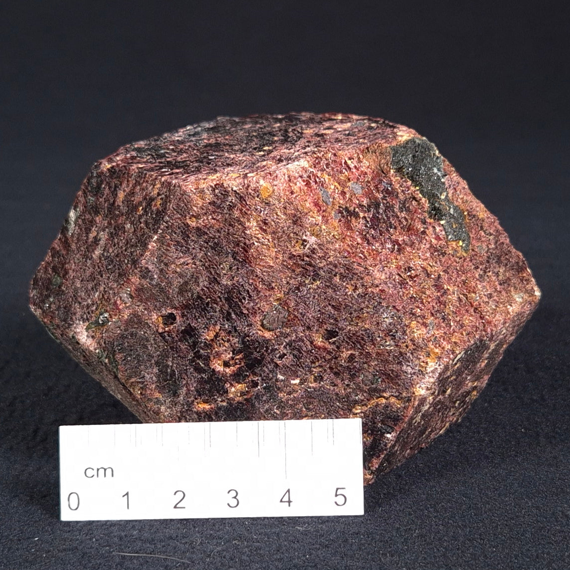 LARGE ALMANDINE GARNET ON CHLORITE SCHIST, Australia XGC013