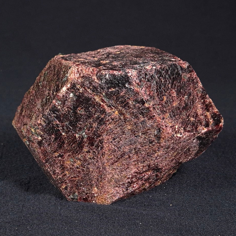 LARGE ALMANDINE GARNET ON CHLORITE SCHIST, Australia XGC013