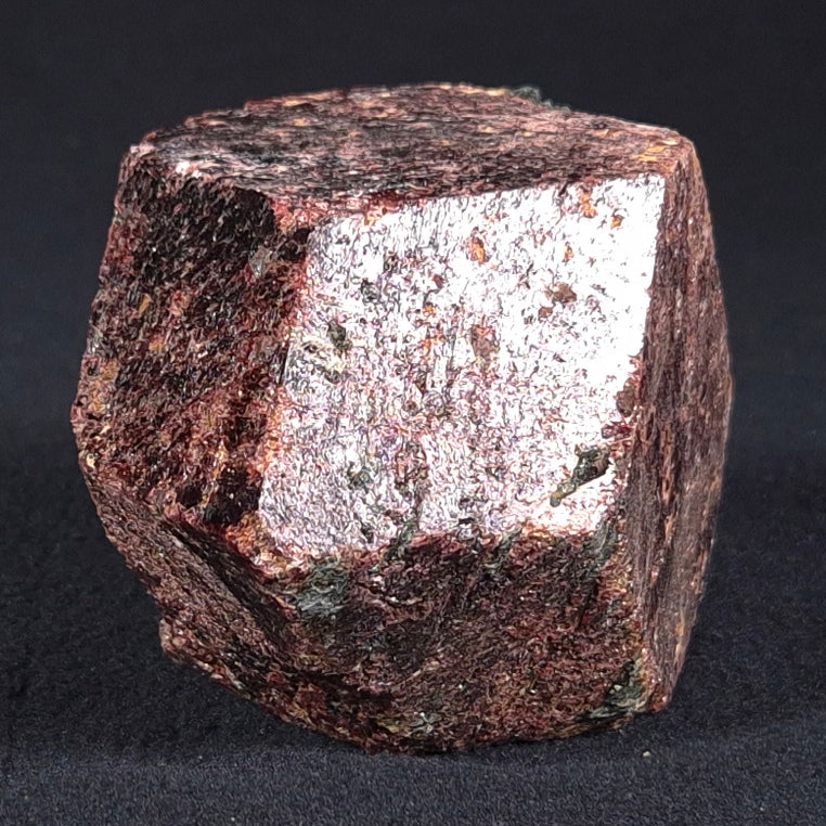 LARGE ALMANDINE GARNET ON CHLORITE SCHIST, Australia XGC013