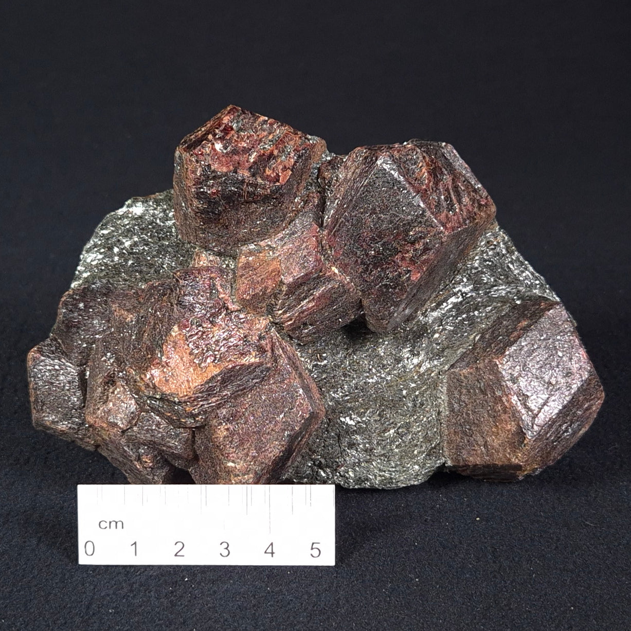 LARGE ALMANDINE GARNETS ON CHLORITE SCHIST, Australia XGC014