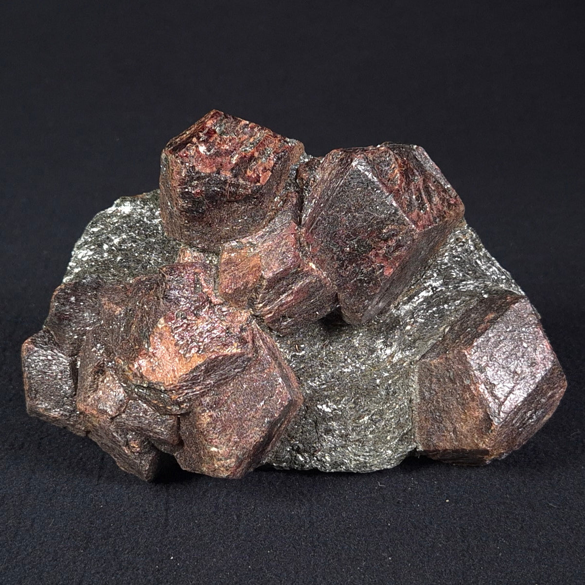 LARGE ALMANDINE GARNETS ON CHLORITE SCHIST, Australia XGC014