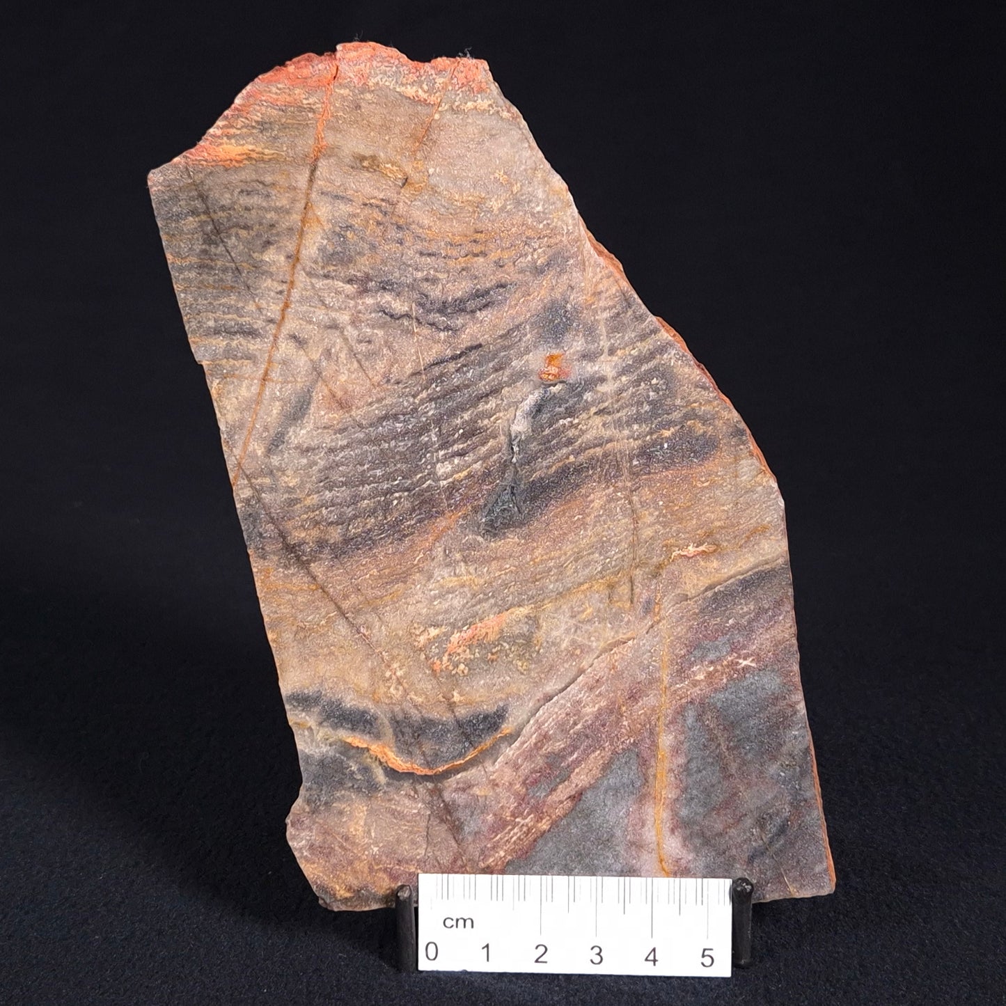 STROMATOLITE, Archean, Australia ZSL001