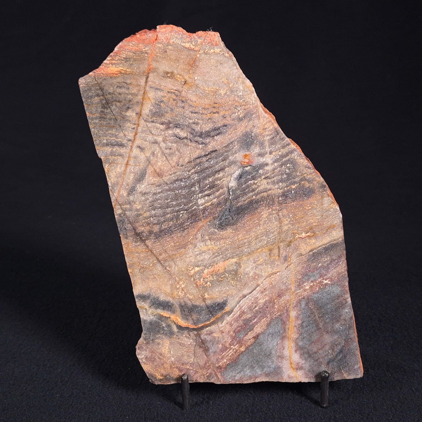STROMATOLITE, Archean, Australia ZSL001
