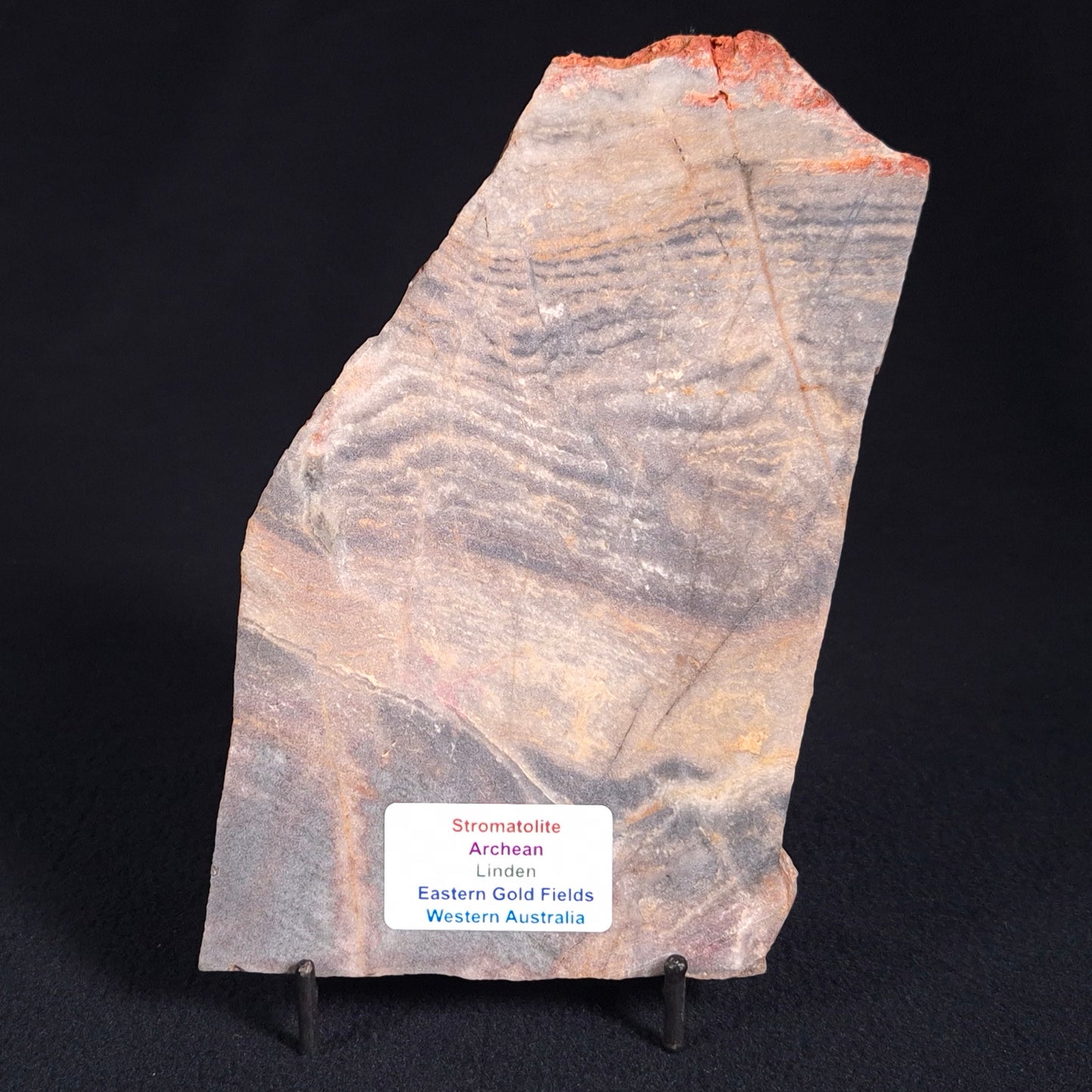 STROMATOLITE, Archean, Australia ZSL001
