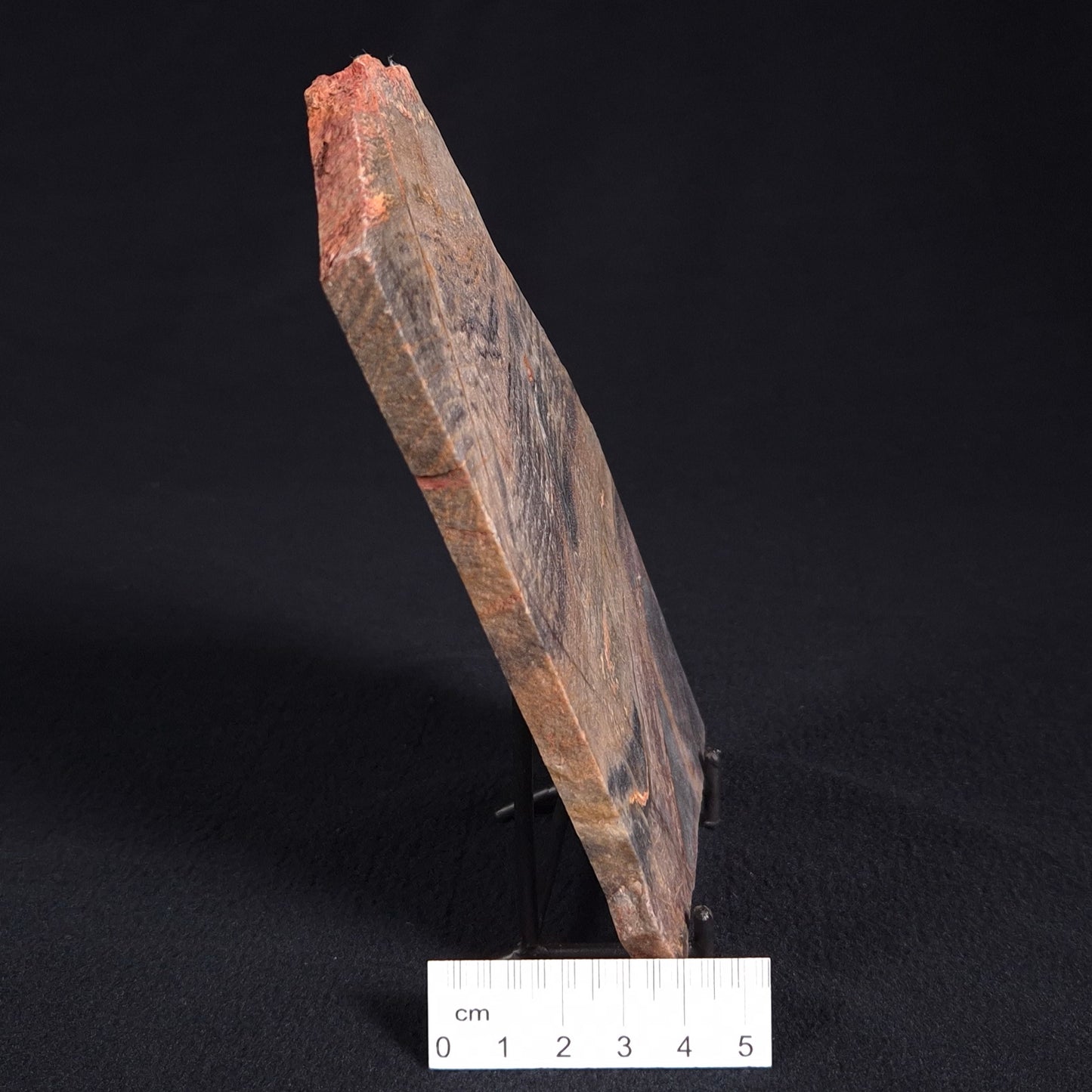 STROMATOLITE, Archean, Australia ZSL001