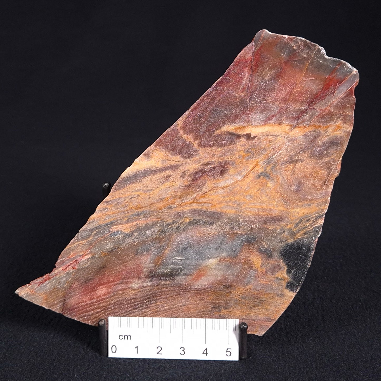 STROMATOLITE, Archean, Australia ZSL002