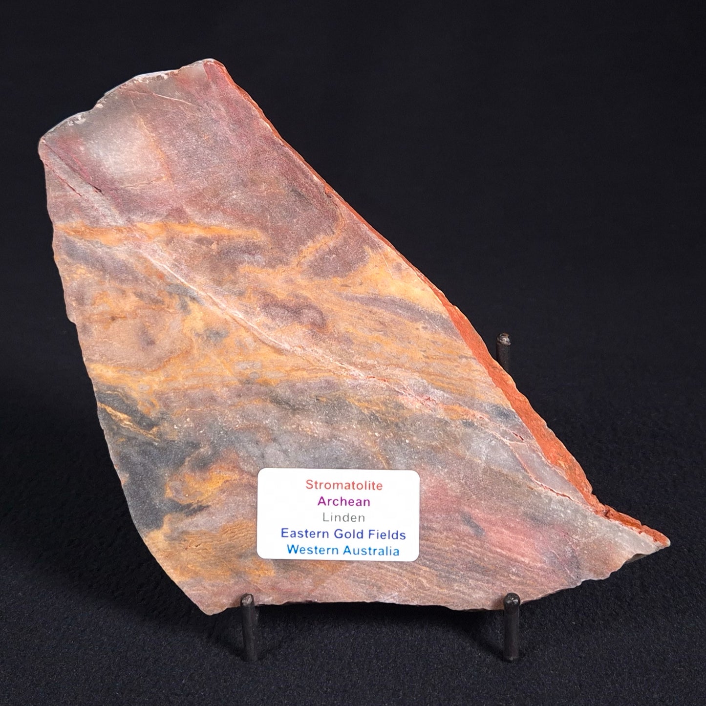 STROMATOLITE, Archean, Australia ZSL002