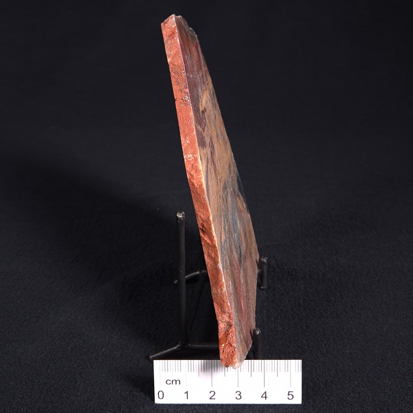 STROMATOLITE, Archean, Australia ZSL002