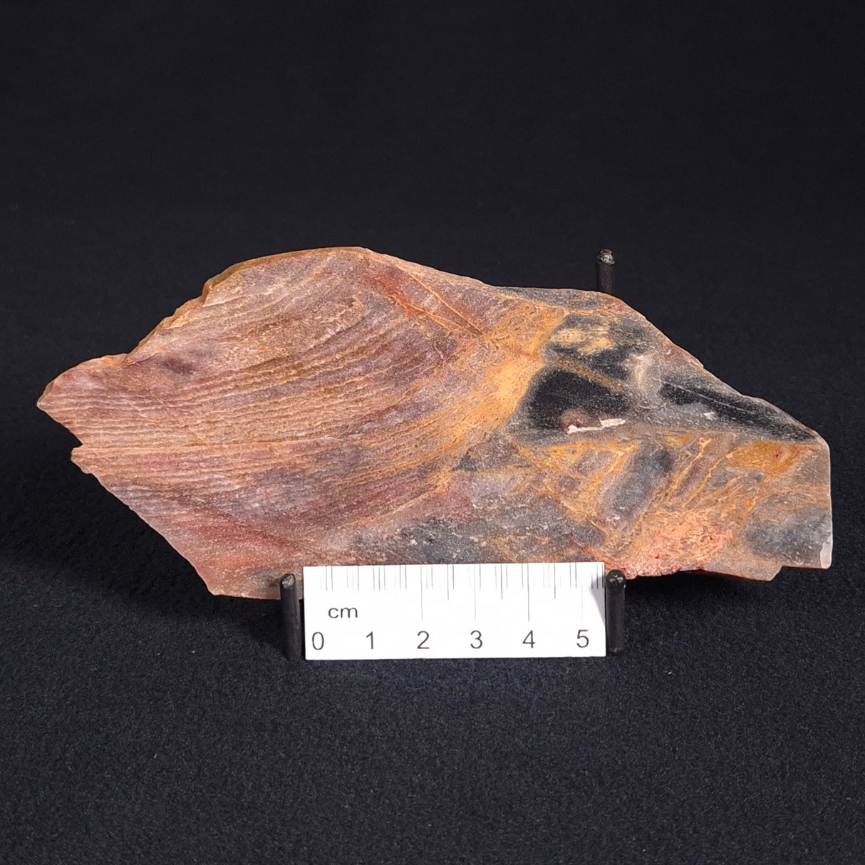 STROMATOLITE, Archean, Australia ZSL003