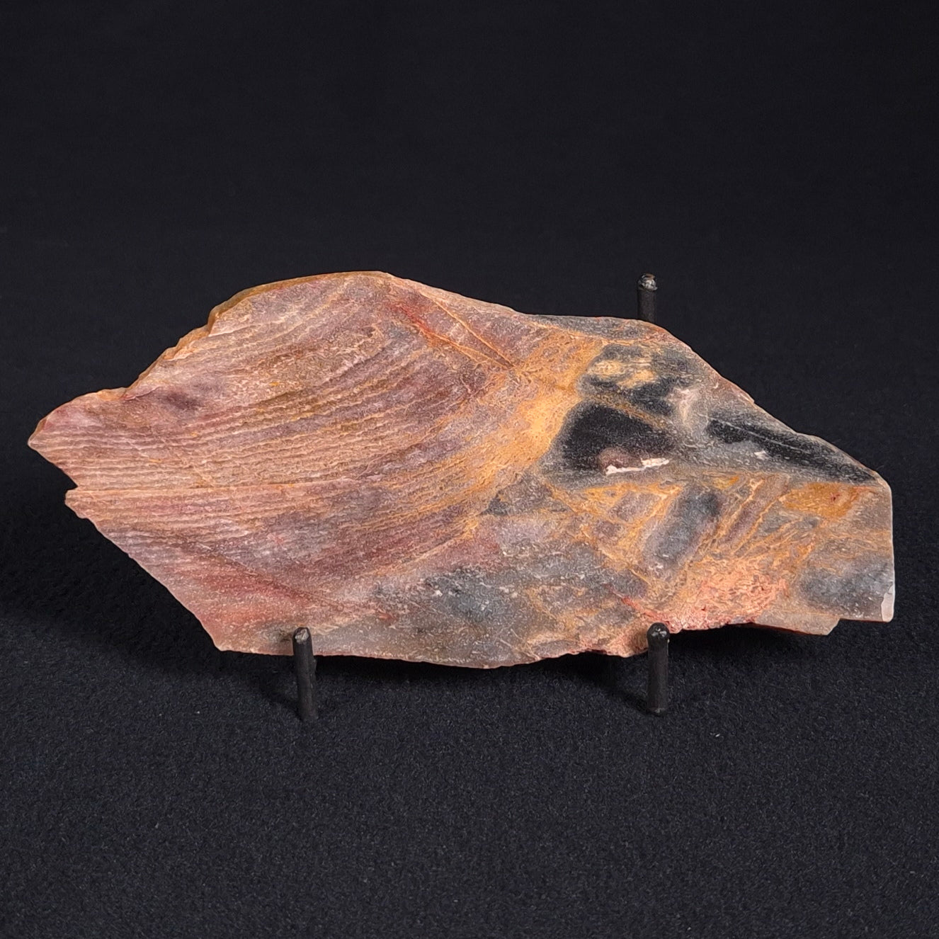 STROMATOLITE, Archean, Australia ZSL003