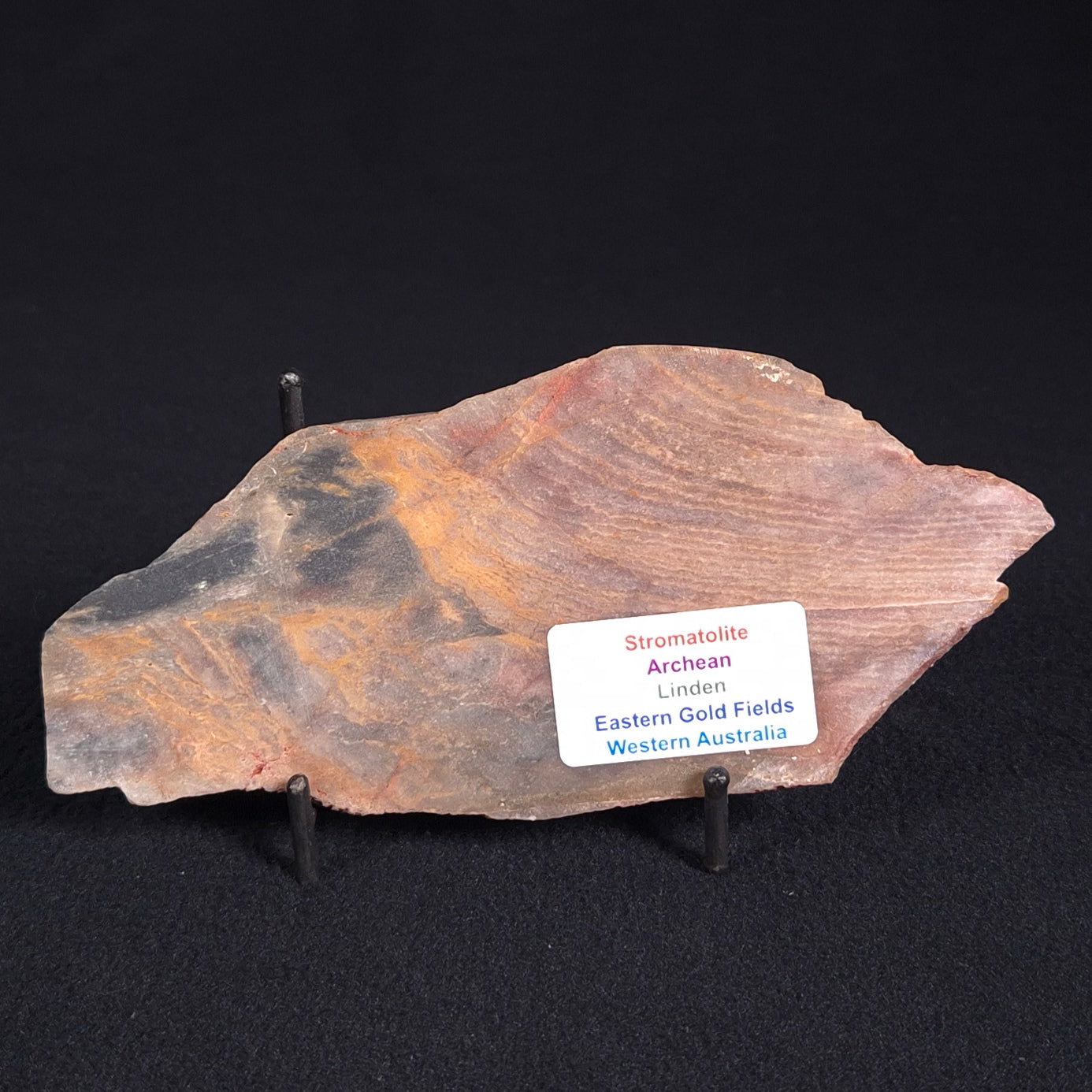 STROMATOLITE, Archean, Australia ZSL003