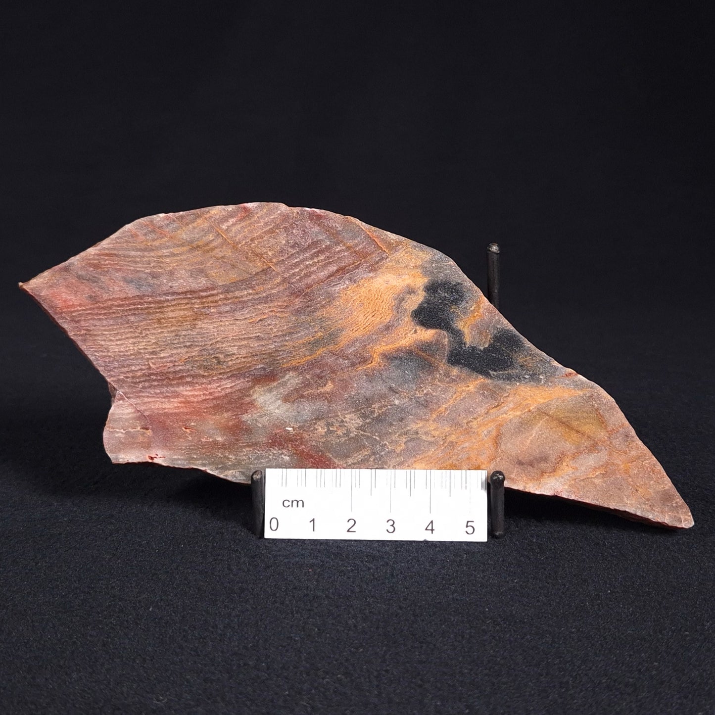 STROMATOLITE, Archean, Australia ZSL005