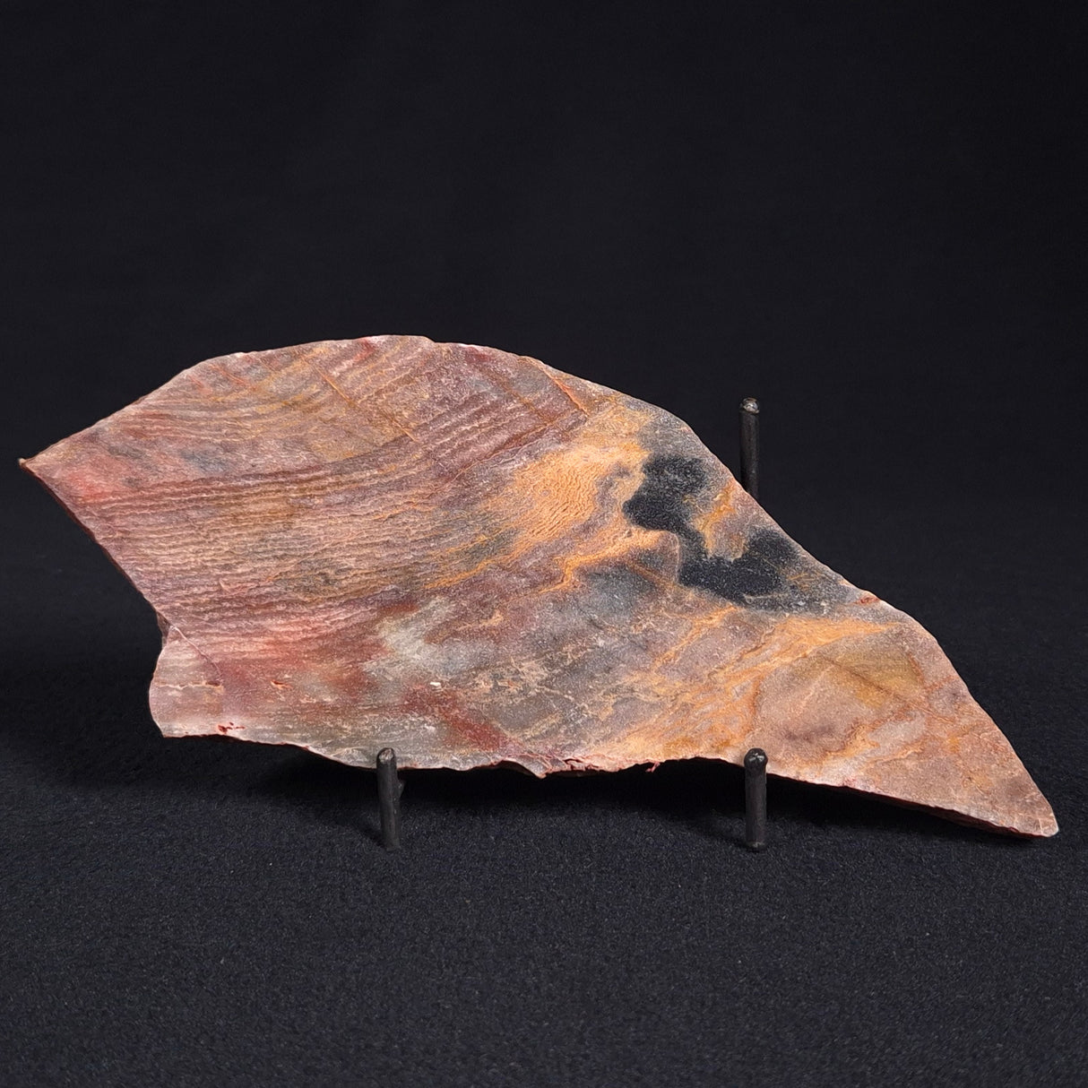 STROMATOLITE, Archean, Australia ZSL005