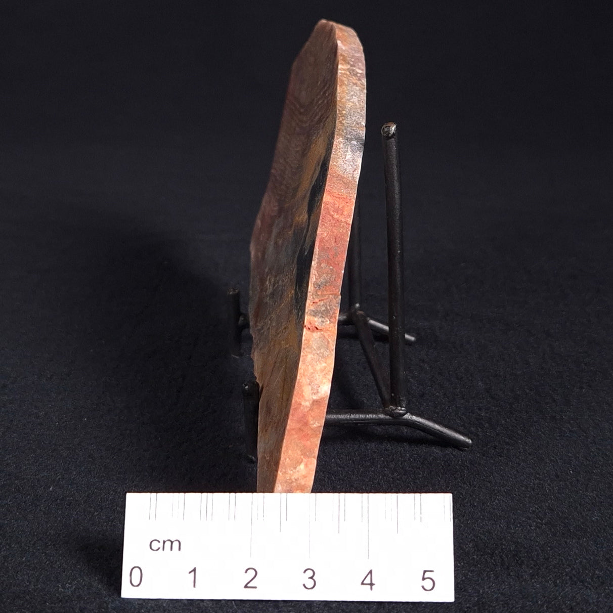 STROMATOLITE, Archean, Australia ZSL005
