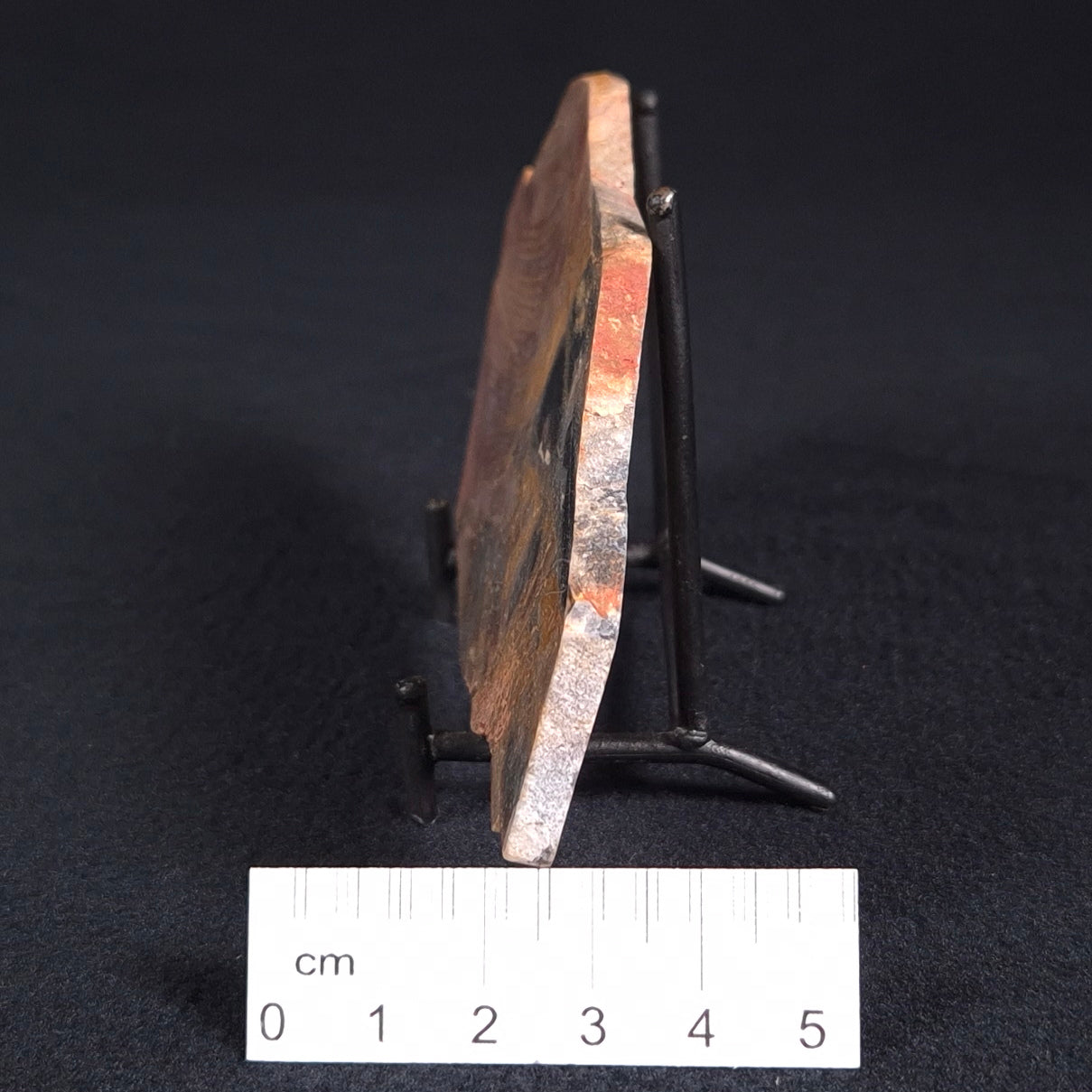 STROMATOLITE, Archean, Australia ZSL003