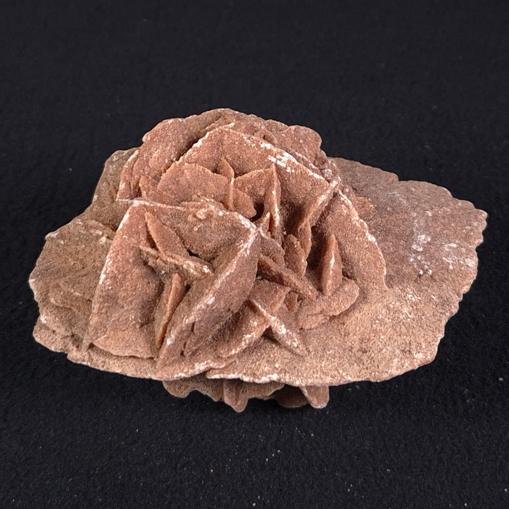DESERT ROSE GYPSUM, Morocco XDR004