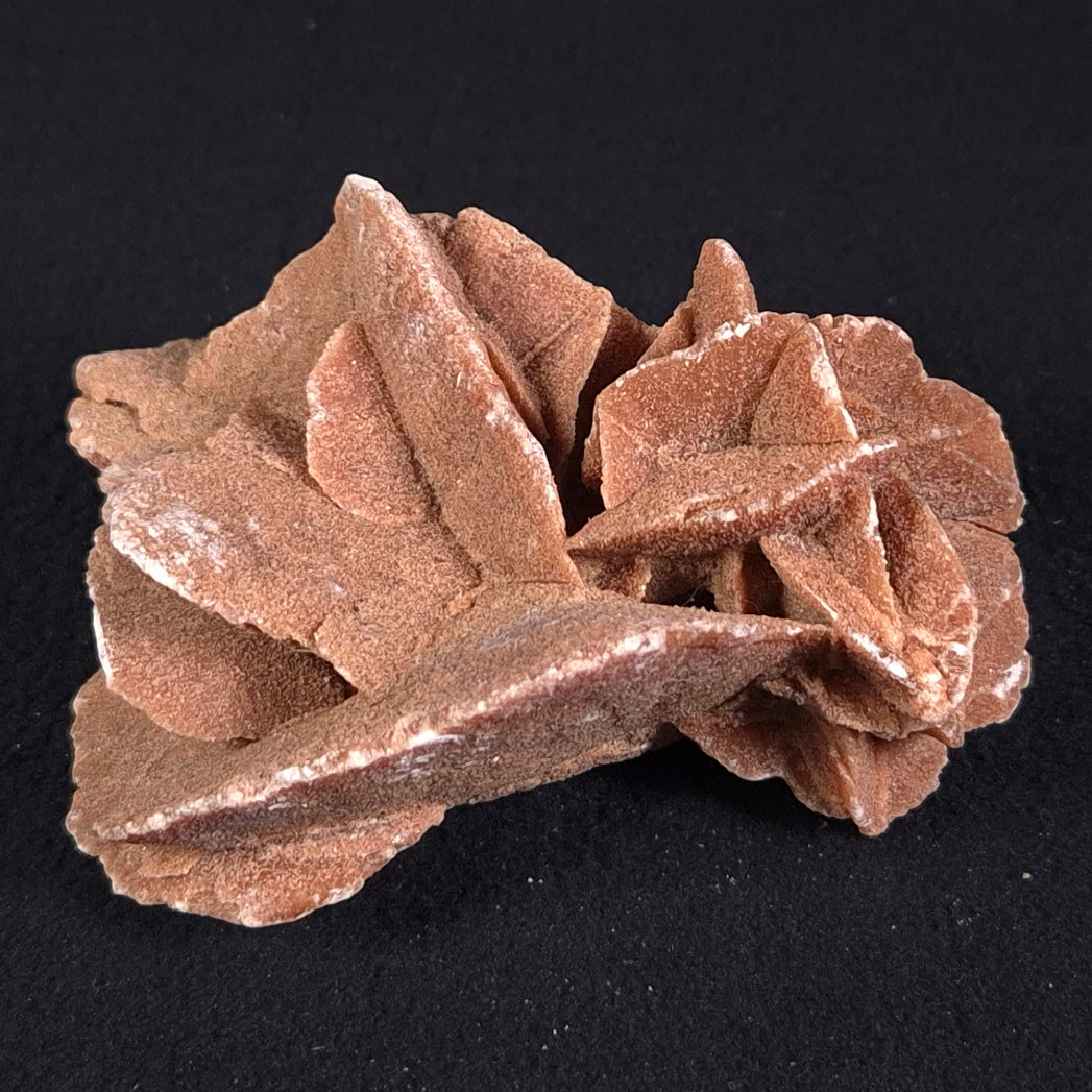 DESERT ROSE GYPSUM, Morocco XDR005