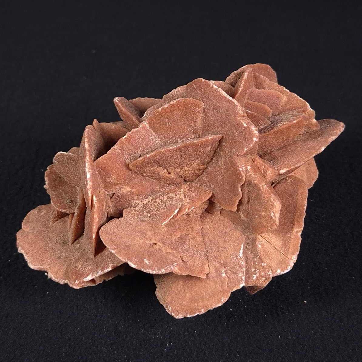 DESERT ROSE GYPSUM, Morocco XDR006