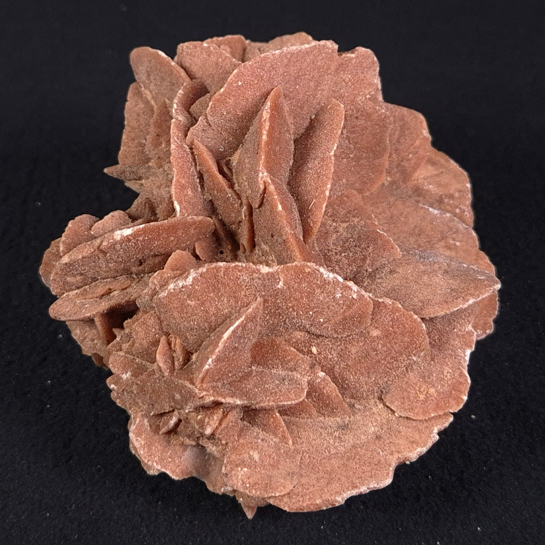 DESERT ROSE GYPSUM, Morocco XDR006