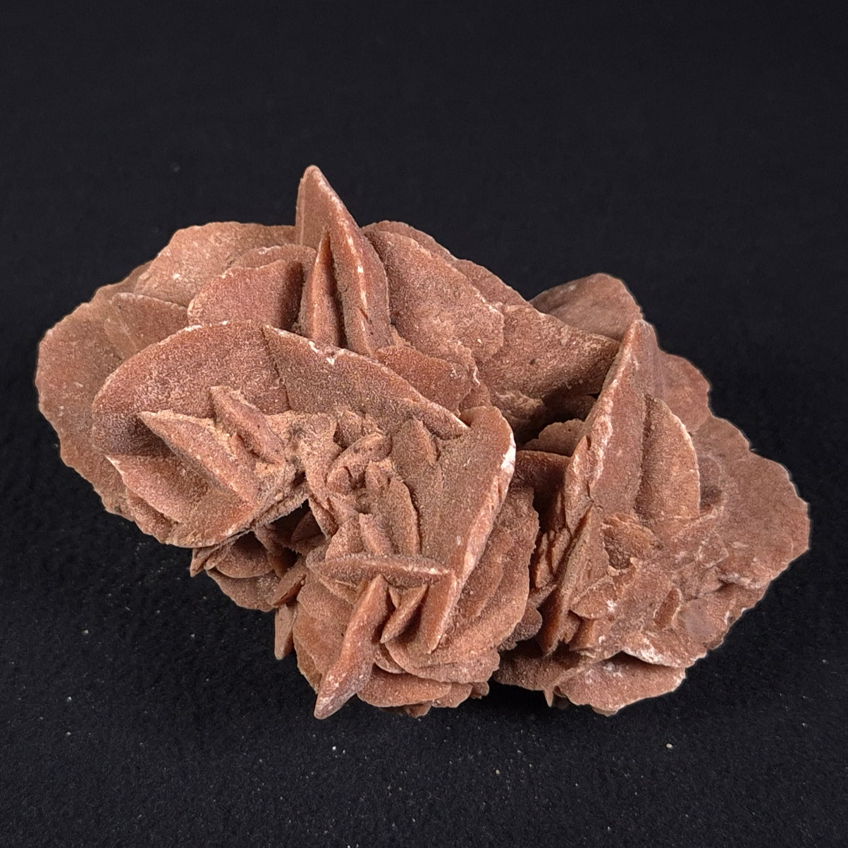DESERT ROSE GYPSUM, Morocco XDR006